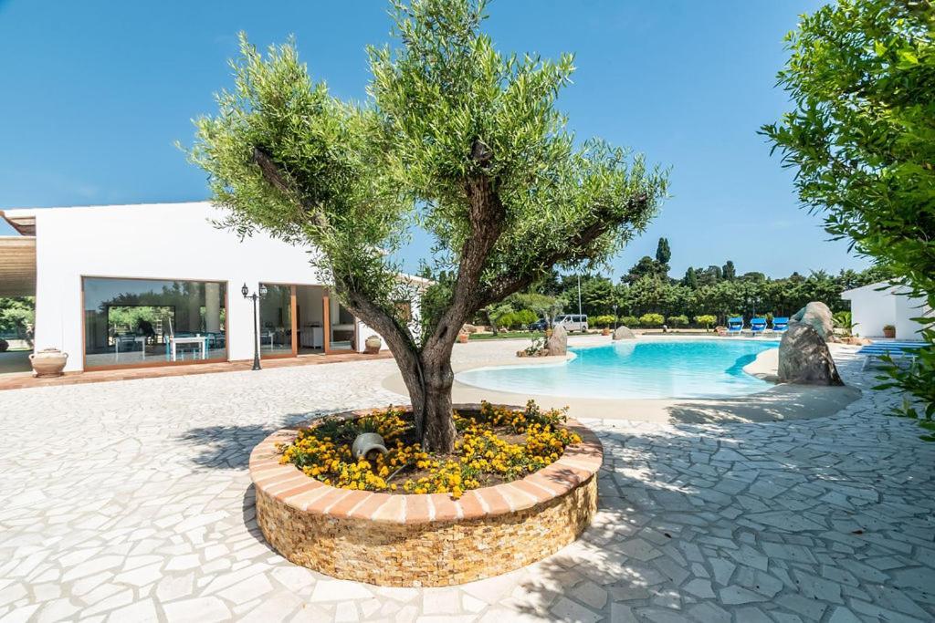 Sisula Country & 4*